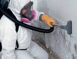 Forensic Mold Investigation in Siloam Springs, AR